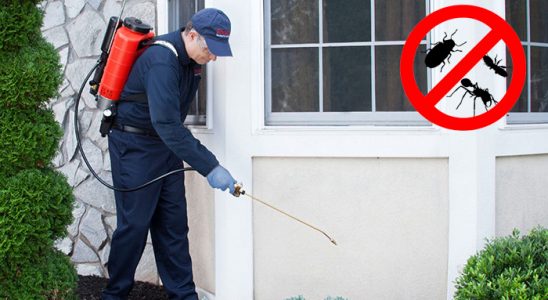 Türkeli Bit İlaçlama böcek ilaçlama ve haşere kontrolü — ilaclama-tr.com